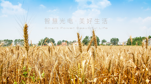 我國首部能源法正式問世、國家能源局/工信部最新通知、?支持企業引進光伏技術、虛擬電廠全電量參與現貨電能量交易出清…… - 拷貝