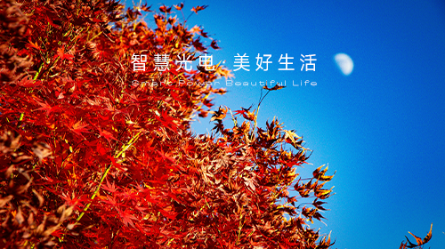 國(guó)家能源局發(fā)布指導(dǎo)意見(jiàn)和新批次名單、國(guó)家統(tǒng)計(jì)局解讀11月份CPI和PPI數(shù)據(jù)、?新一輪儲(chǔ)能政策頒布……